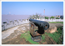 温州龙湾炮台