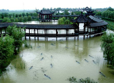 湖州中国扬子鳄村